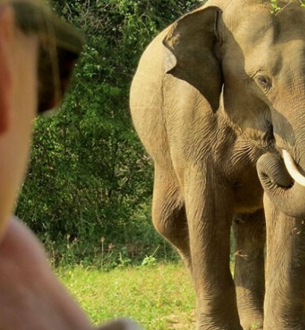 Explore and Enjoy Wildlife with Land and Water Safaris