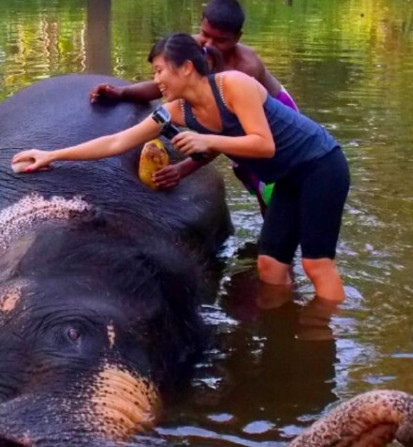 An Elephantine Spend-The-Day